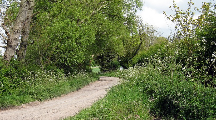 Marsh Lane Cumberworth Teesdale's farm copy