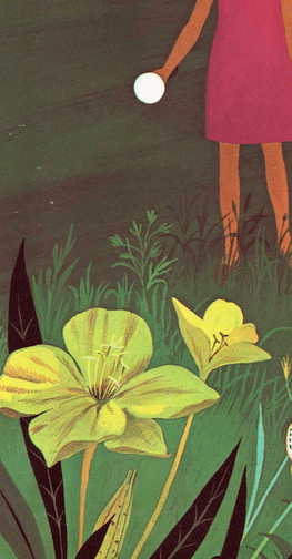 night-blooming flower