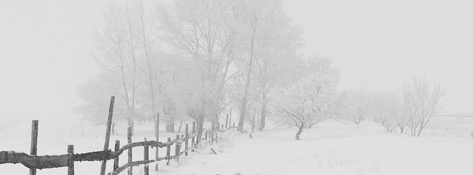 screen-shot-2016-12-09-at-2-56-16-pm