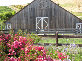 Screen Shot 2017-07-17 at 9.38.44 AM.png